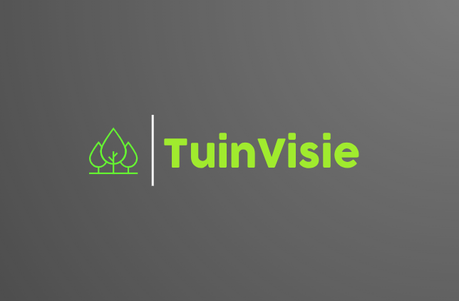 Visie